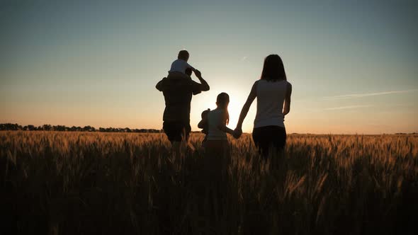 Happy Family Walking in Wheat Field on Sunset in a Warm Summer Evening. Little Son Sitting on Her