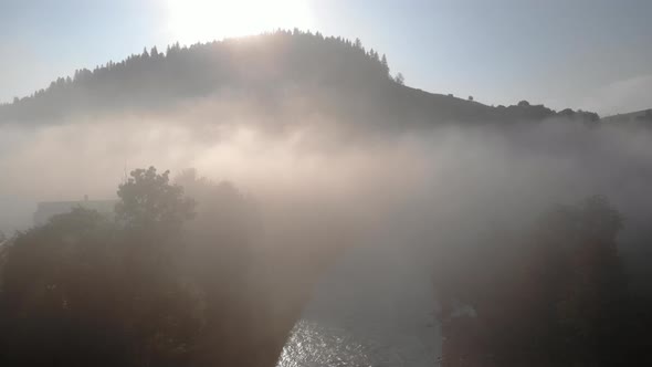 Summer Morning Landscape in the Picturesque Countryside