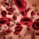 Red blood cells - VideoHive Item for Sale