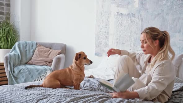Young Beautiful Woman Reading Book with Small Brown Dachshund Dog