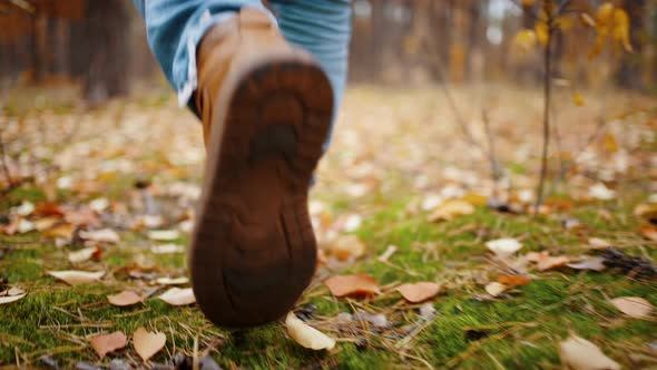 Legs of Unknown Man in Blue Jeans and Brown Boots Walking in Autumn Forest