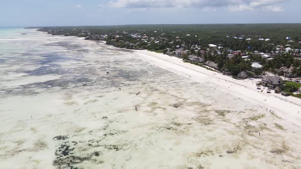 Zanzibar Tanzania  Low Tide in the Ocean Near the Shore