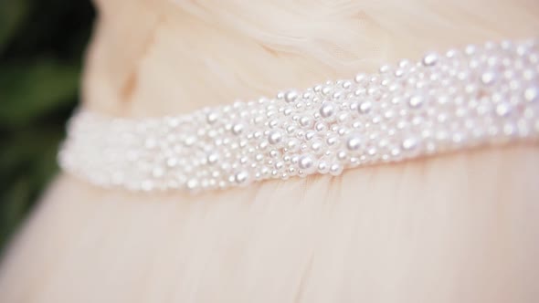 Closeup View of Beautiful Wedding Dress with Pearls Hanging on the Tree Branch