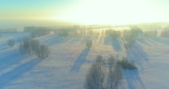 Aerial Drone View of Cold Winter Landscape with Arctic Field Trees Covered with Frost Snow and