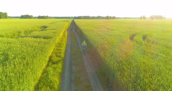 Aerial View on Young Boy, That Rides a Bicycle Thru a Wheat Grass Field on the Old Rural Road