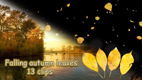 Falling Autumn Leaves