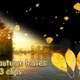 Falling Autumn Leaves - VideoHive Item for Sale