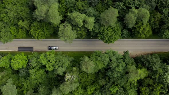 Fly with a fast driving car along a street which is leading through a green forest at a day in summe