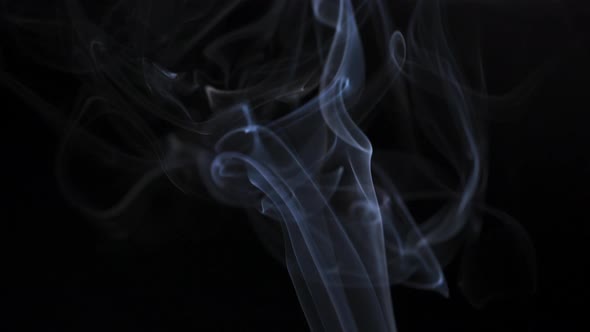 Abstract Smoke Rises Up in Beautiful Swirls on a Black Background