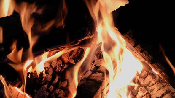 Flame Fire of Bonfire with Birch Firewood on Night