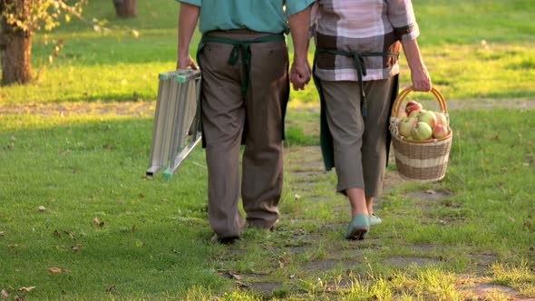 Elderly Gardeners Couple, Back View.