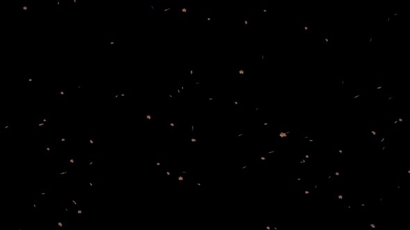Falling Dried Small Leaves - Loop - Alpha Channel alt