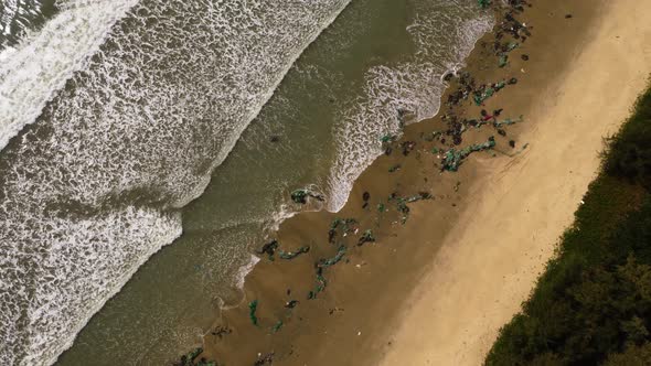 Ocean pollution, Aerial top down view of ocean waves crashing on tropical sandy beach paradise pollu