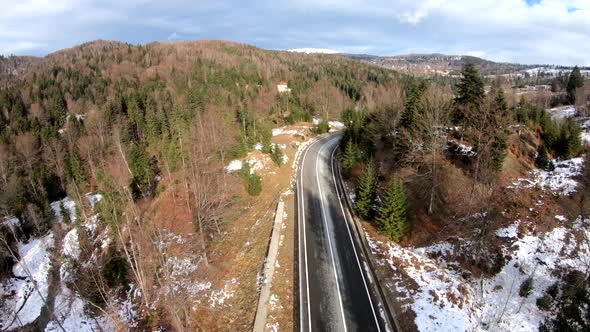 A road through the forest