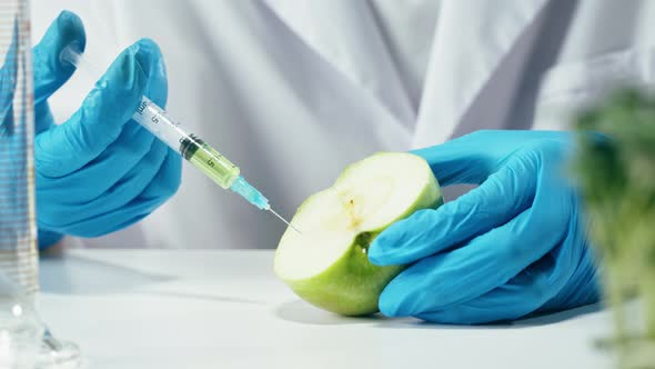 Medical Scientist Inspecting Apple Working in Laboratory