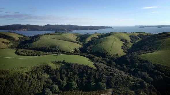 Beautiful green landscape hills of the Tawharanui Regional Park in New Zealand