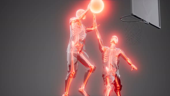 Basketball Game Player alt