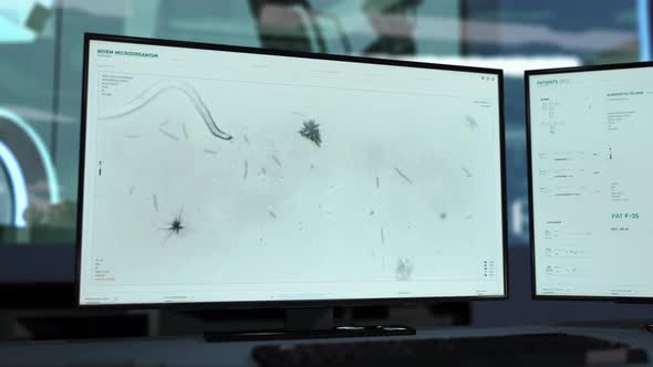 Pathogenic Worm Microorganism Life Cycle Study In Advanced Microbio Software alt