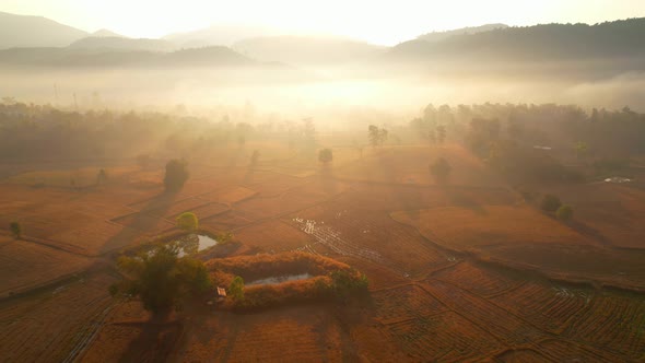 Aerial view from a drone over misty landscape on farmland. 4K