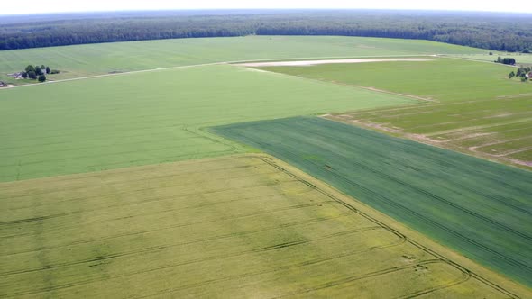 Aerial Drone View Flight Over Different Agricultural Fields