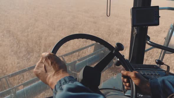 Man Driving a Combine and Harvesting the Wheat.