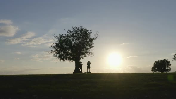 Silhouettes of Hikers Standing Under Tree and Relaxing in Nature
