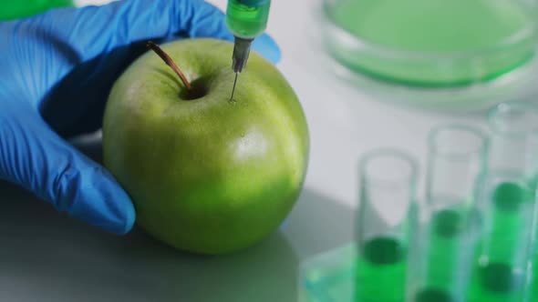 Scientist Working on Organic Fruits and Vegetables
