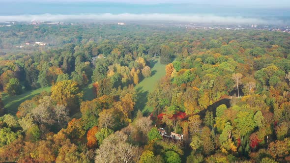 Beautiful flight over autumn trees, park, Leaves on trees of different colors