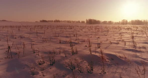 Aerial Drone View of Cold Winter Landscape with Arctic Field, Trees Covered with Frost Snow and