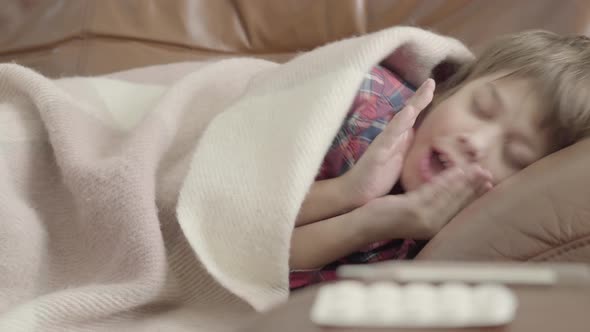 Portrait Little Boy Lying on the Sofa Covered with a Blanket at Home. Cute Child Is Resting. The Boy