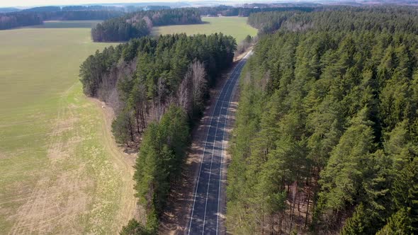 Flying Over Picturesque Road Among Agricultural Fields And Pine Forest