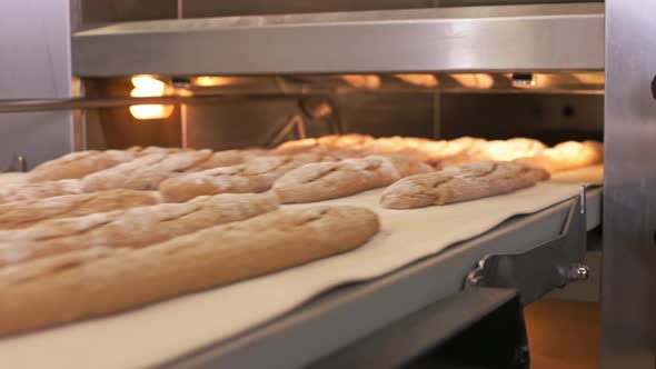 Loading Baguettes Into a Oven