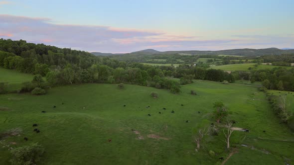 Mountain Pocono Pennsylvania landscape with green forest and blue sky