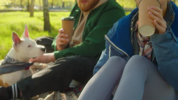 Friends Having Coffee and Resting with Dogs in Park