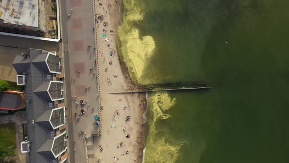 The promenade of Zelenogradsk in the summertime