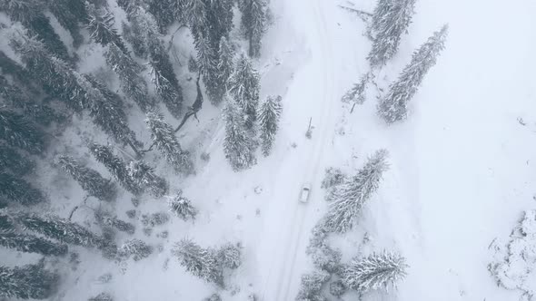 Overhead Top View of Car Moving By Snowed Road Between Pine Trees in Mountains