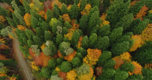 4K Aerial footage of mountain road in beautiful forest at sunset in autumn