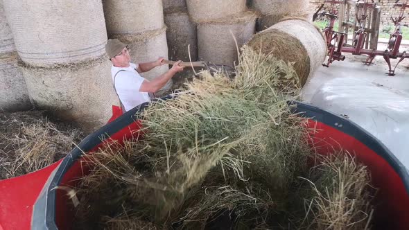 Farmer using shredder for hay