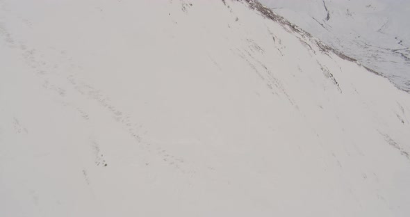 Aerial helicopter footage of Eagle flying over Alaskan river, lands next to another one in a tree, d