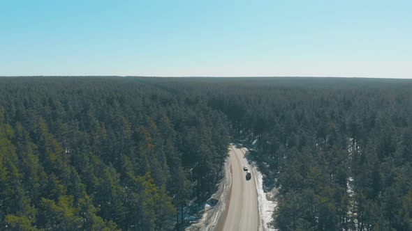 Cars Drive Along Road with Snow on Roadsides in Pine Forests