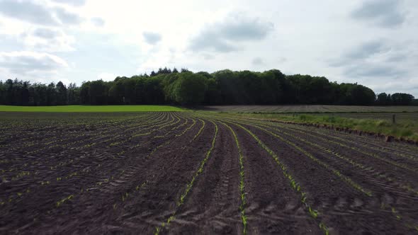 Cropland at the 'Lochemse berg' in the Achterhoek, rural area in Gelderland, the Netherlands, Aerial