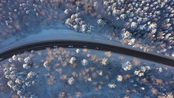Several Cars Drive Down the Highway in the Middle of a Snowcovered Pine Forest on a Bright Sunny