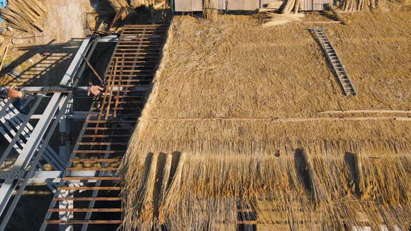 Aerial View the Roof of a Large House with Dry Straw and Hay. Workers Who Install the Roof