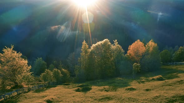 Aerial 4k video of beautiful sunset over endless lush pastures and pine forest.