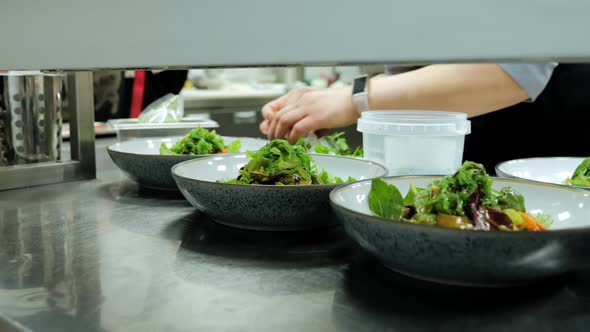 Cooking Vegetable Salad in a Restaurant Kitchen