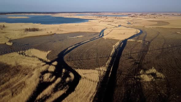 Aerial view of the lake overgrown with brown reeds, lake Pape nature park, Rucava, Latvia, sunny spr