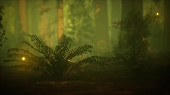 Firefly in Misty Forest with Fog