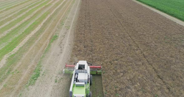 Agriculture Harvester Harvesting Field Aerial View