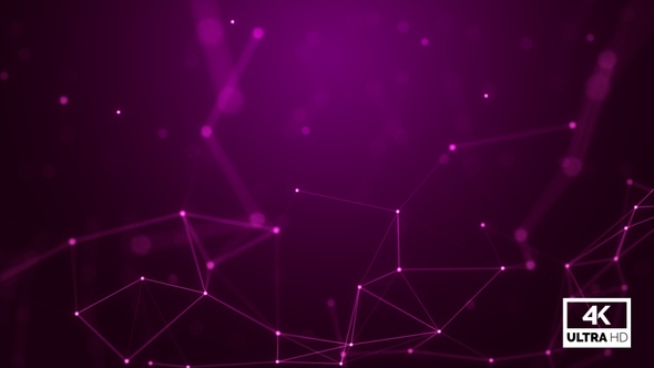 Pink Plexus Abstract Background Looped V8 alt