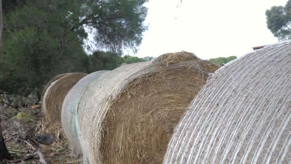 CLOSE UP Of Round Hay Bales On Farmland Ready For Livestock